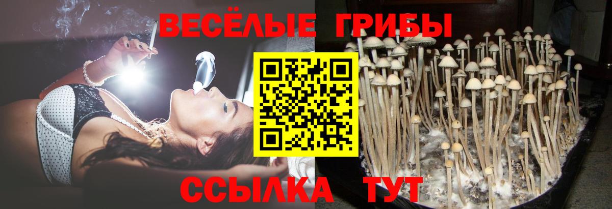 Краснокаменск  Галлюциногенные грибы мухоморы  Вход с VPN  Галлюциногенные грибы MAGIC MUSHROOMS 